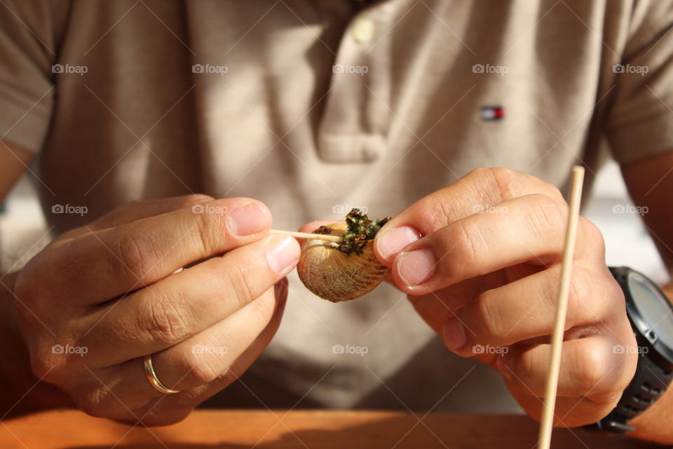 Snail snailsgarden cuisine hands 