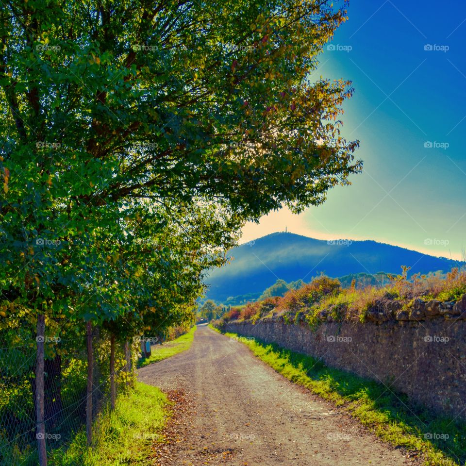 road to nature