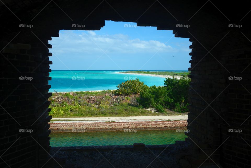 Turtle Island. Shot at Fort Jefferson through can import at turtle I had a great time swimming