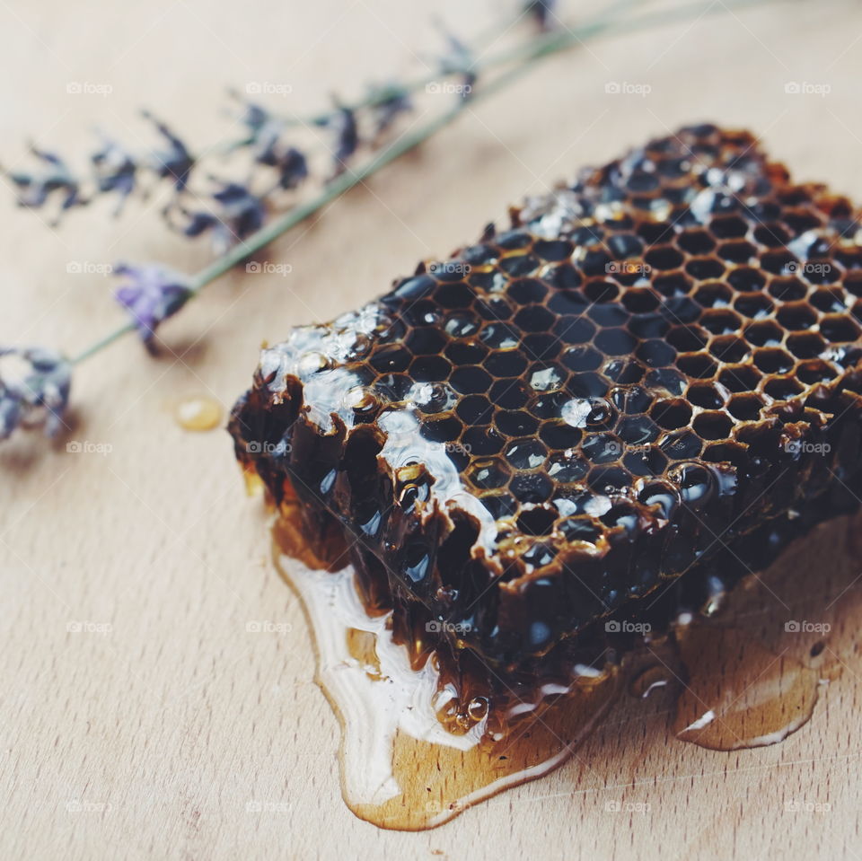 Close-up of a honeycomb
