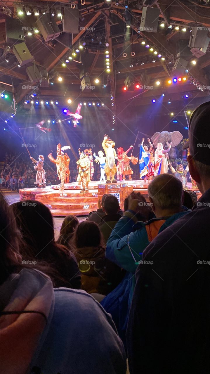 The lion king show at Disney!