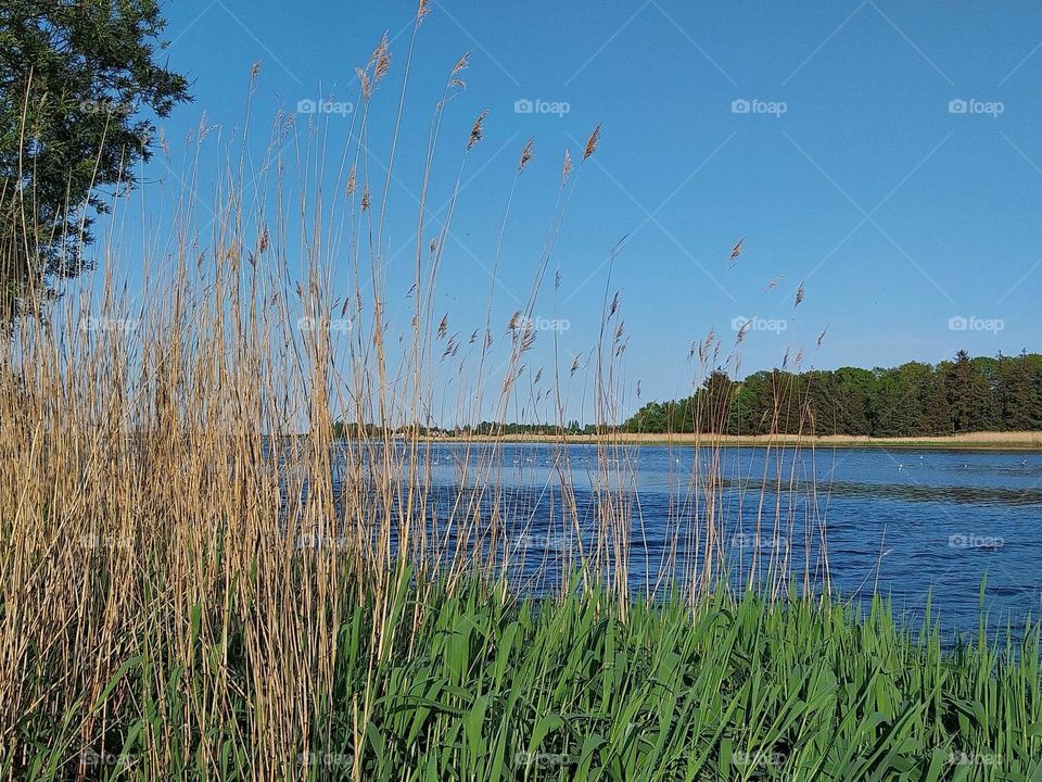 small boats in Odense Fjord