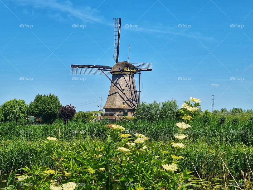 Mill in nature