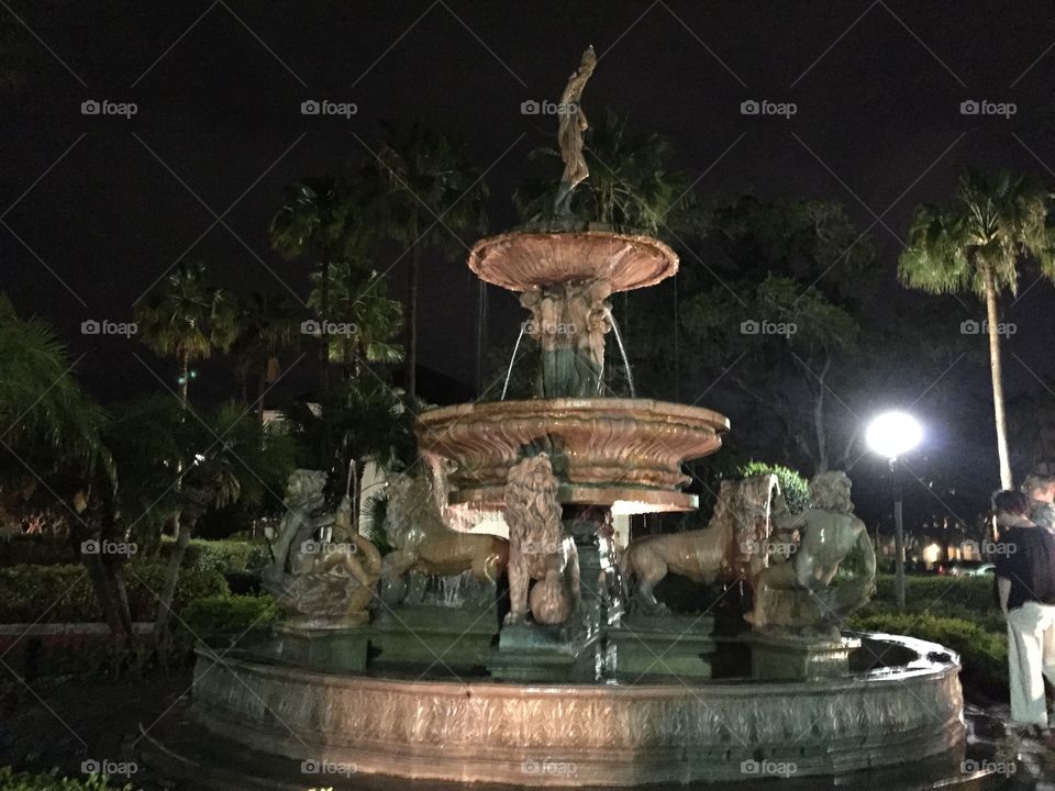 Fountains at Night