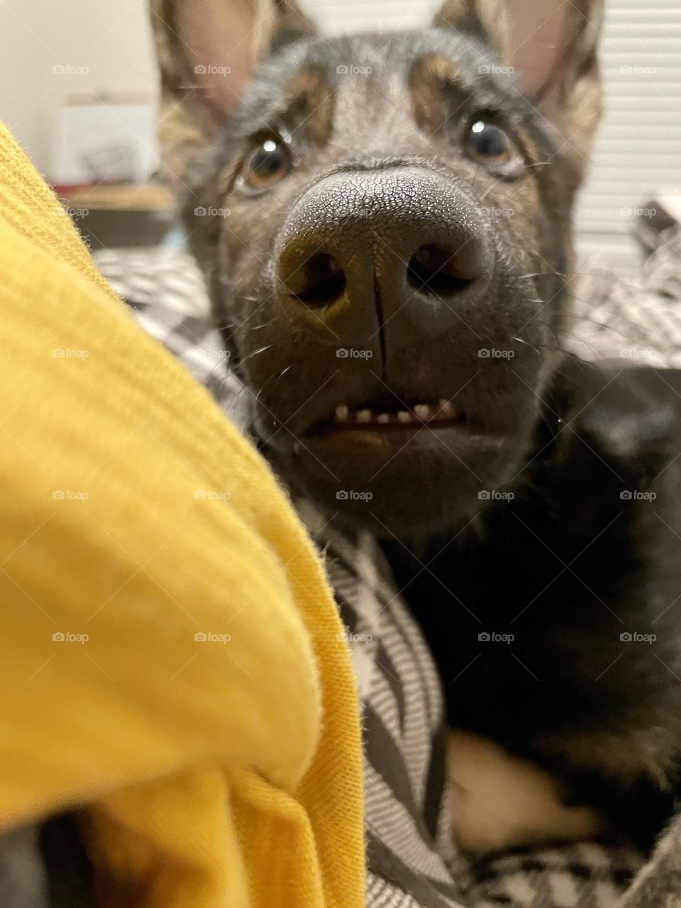 Whatcha mean I lost a toof?!