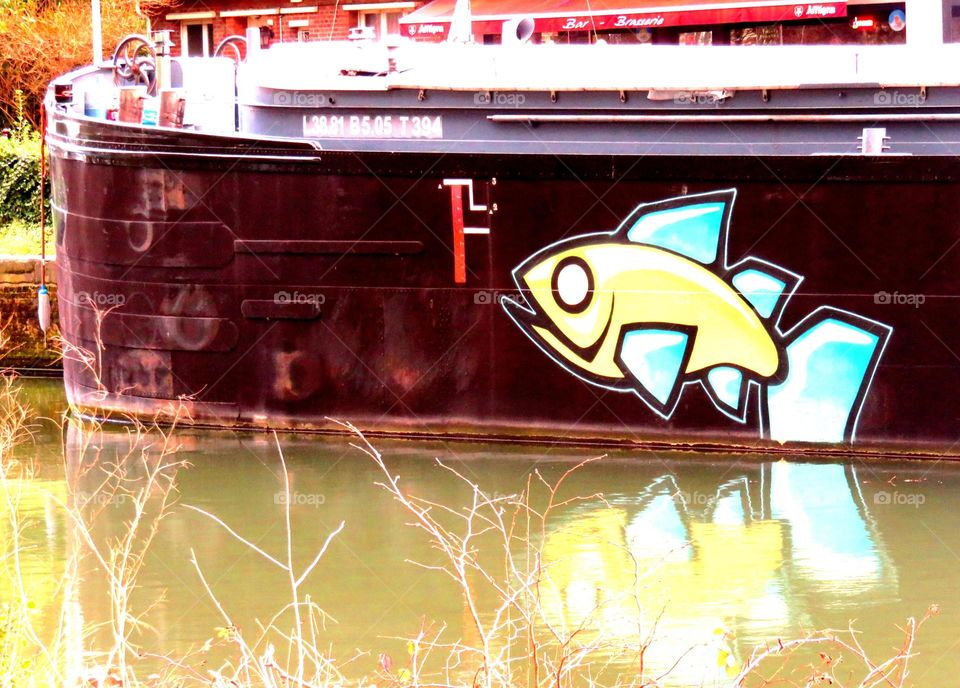 fish and boat