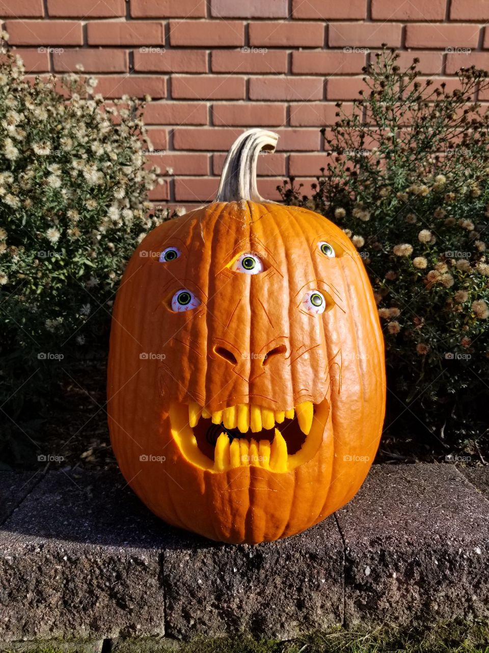 Halloween pumpkin