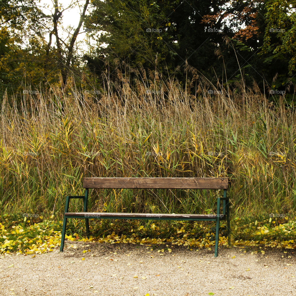 hidden bench