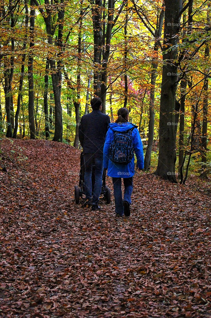 A walk in the Woods