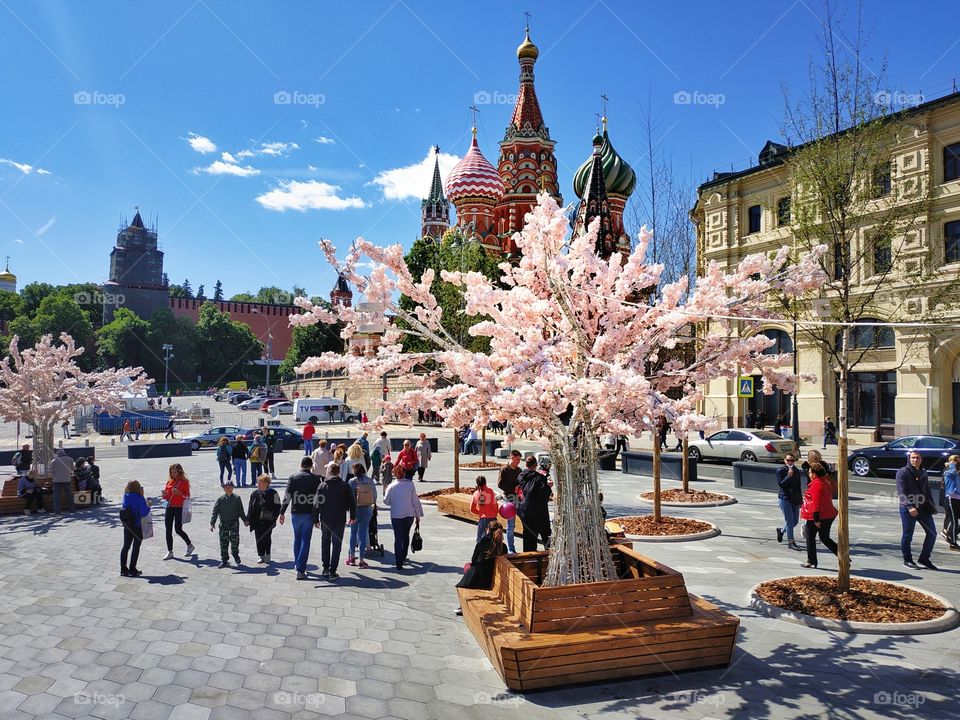 Summer time in Moscow.