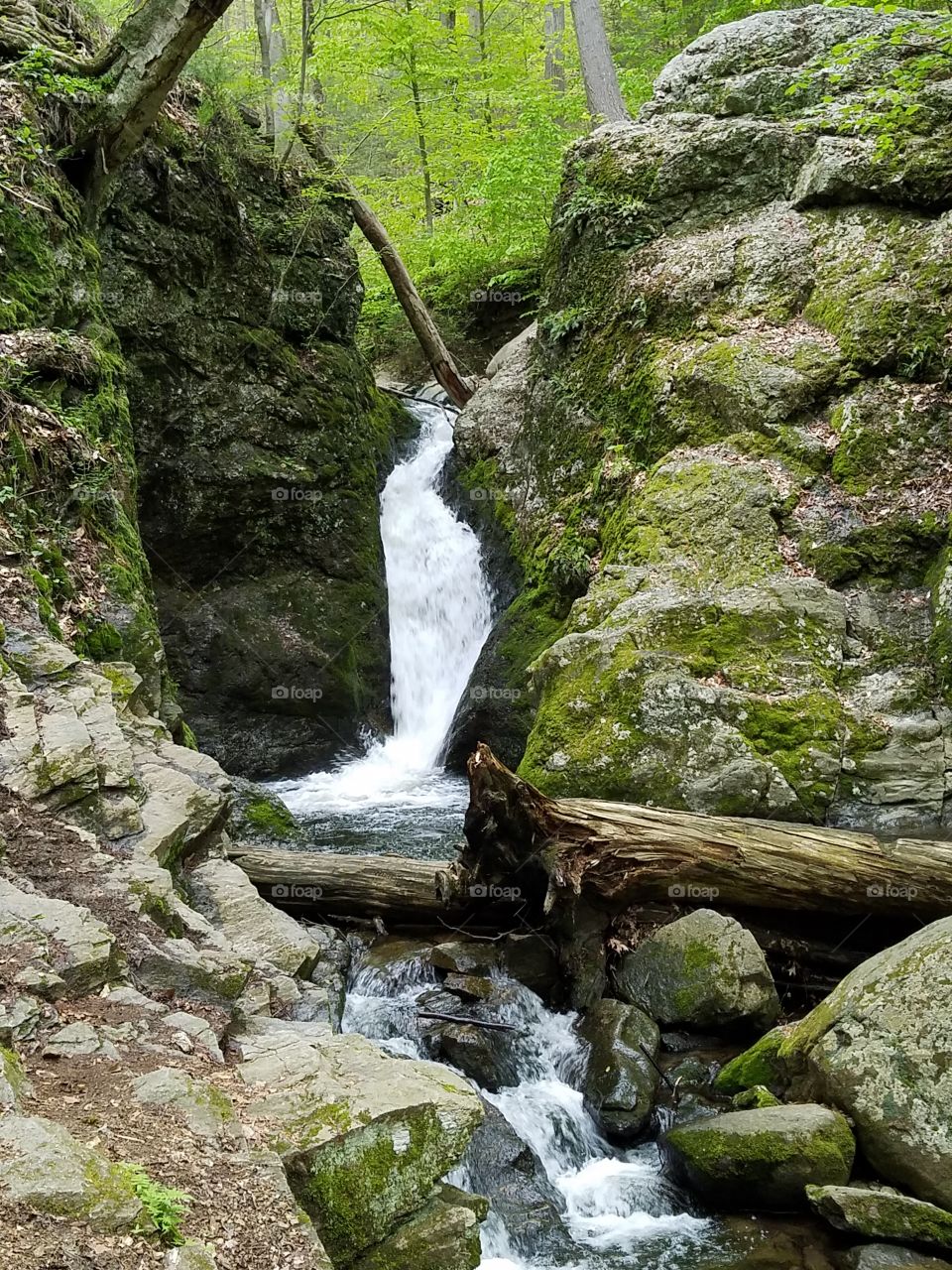 scenic beauty and waterfall