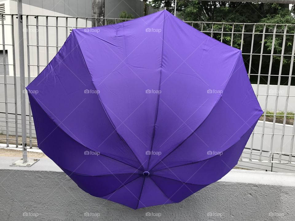 Purple Umbrella 🌂 4