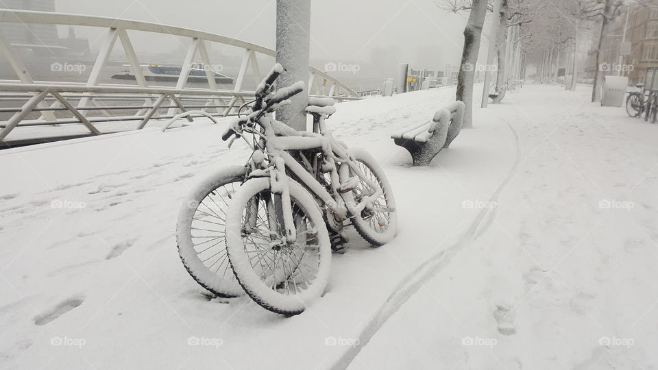 Snow in Rotterdam
