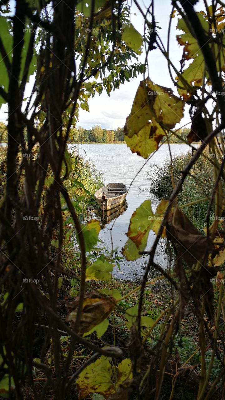 Autumn boat