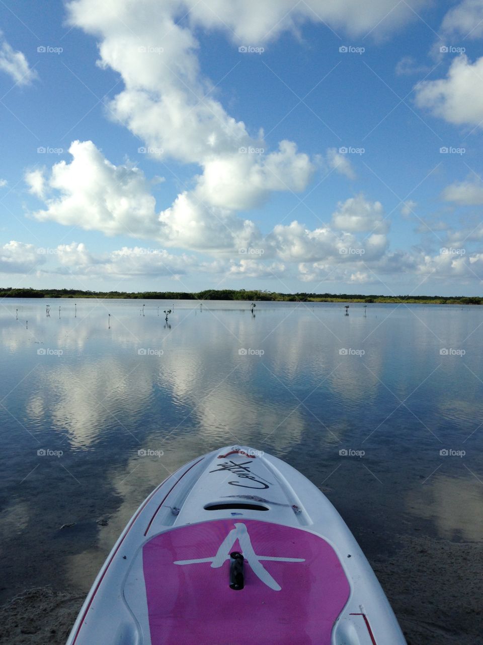 Incredible Reflections