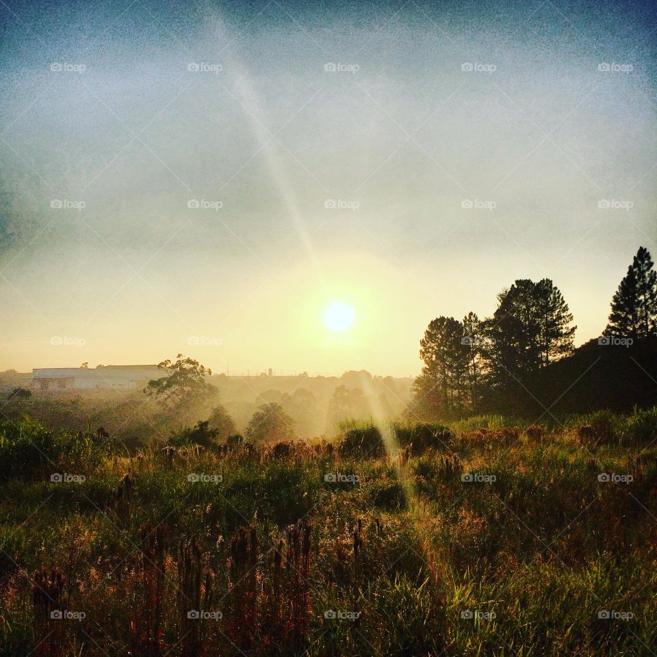 Sun in The Winter! 🌄🇺🇸 An extremely beautiful dawn in Jundiaí, interior of Brazil. Cheer the nature! / 🇧🇷 Um amanhecer extremamente bonito em Jundiaí, interior do Brasil. Viva a natureza! 