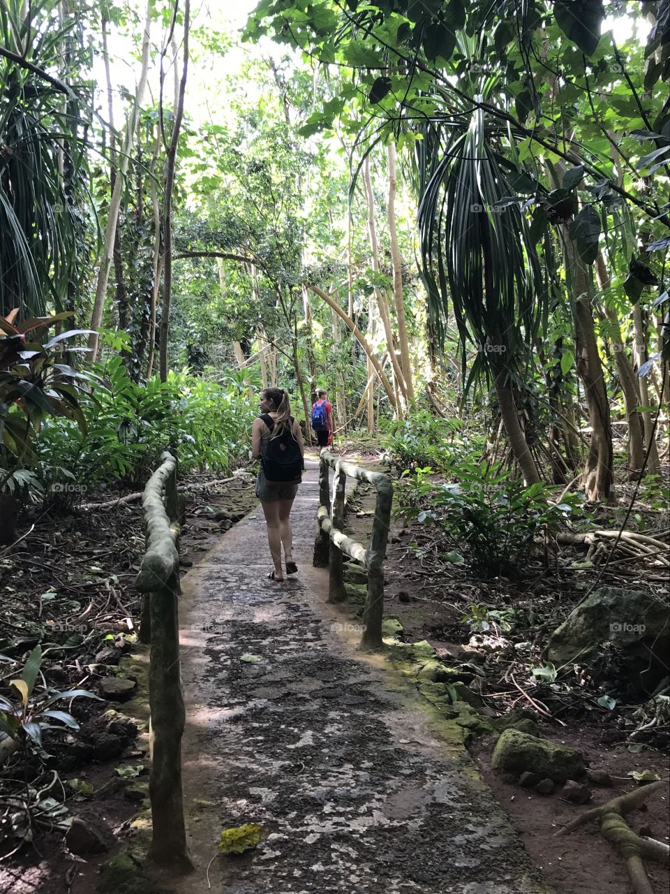 Jungle trail 
