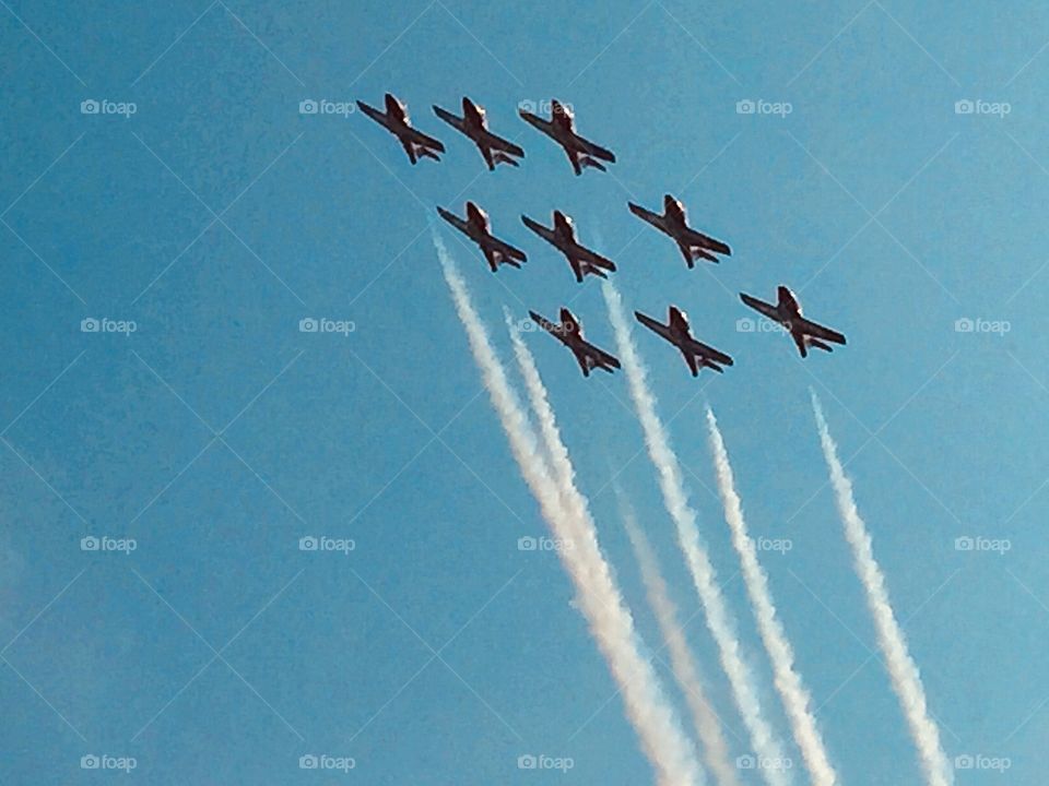 The Snowbirds