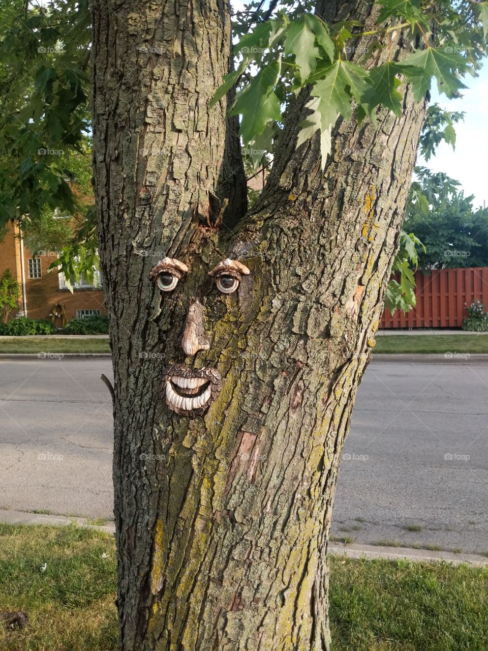 Look who is watching 2