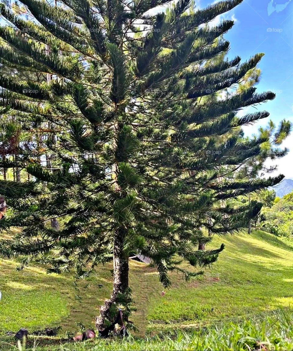 A most beautiful and attractive view.