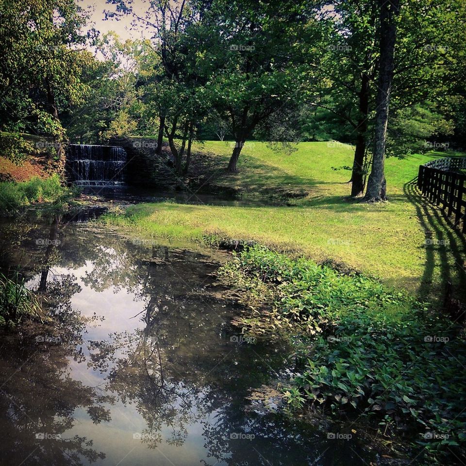 Garden Pond 