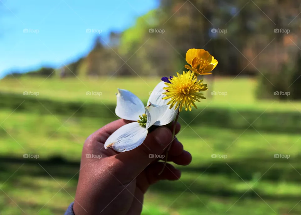 Flowers