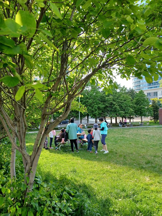 Kids and their families gather around a picnic table and having a picnic in a greeley park, the city of Scarborough, Ontario, Canada, on a hot day in summer. Foods on the park table.