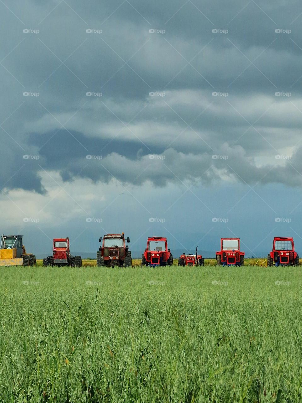 tractors in line