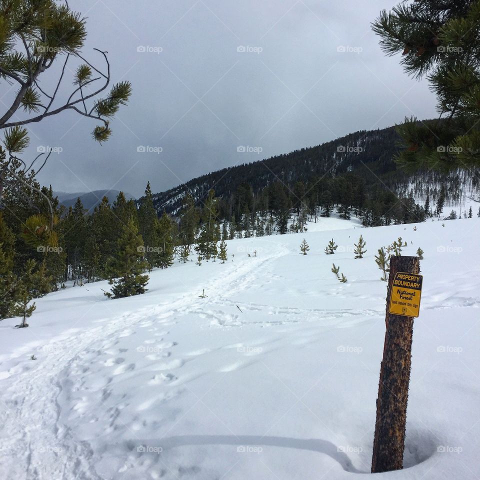 Flatland running today 