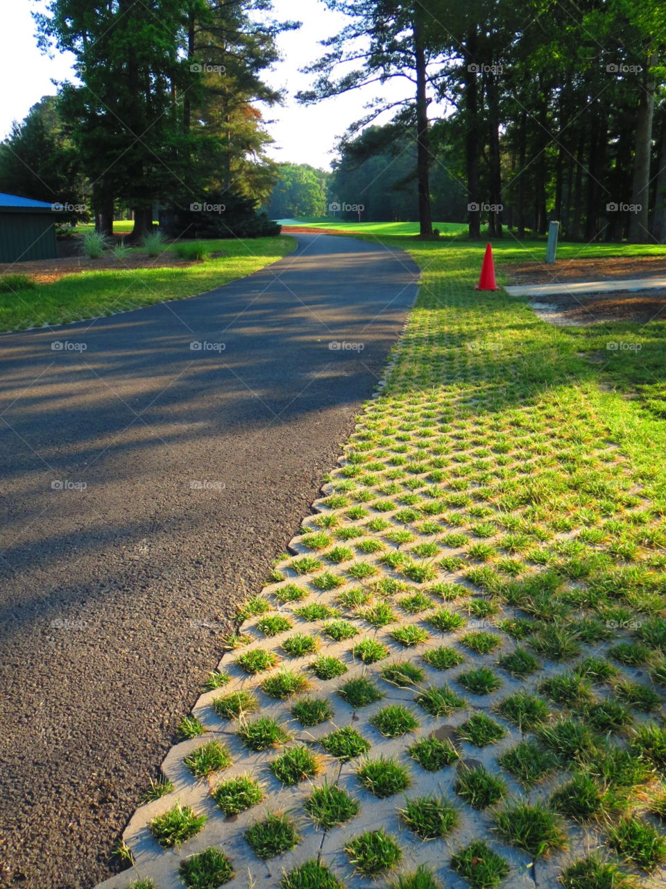 Tee Time. Golf cart path in the morning