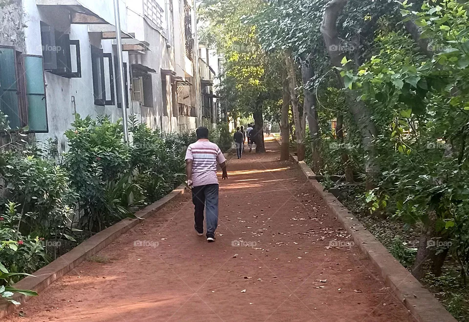 Morning Walk
