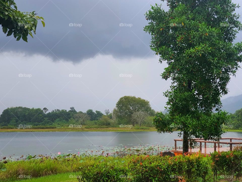 Just Before the Rainfall