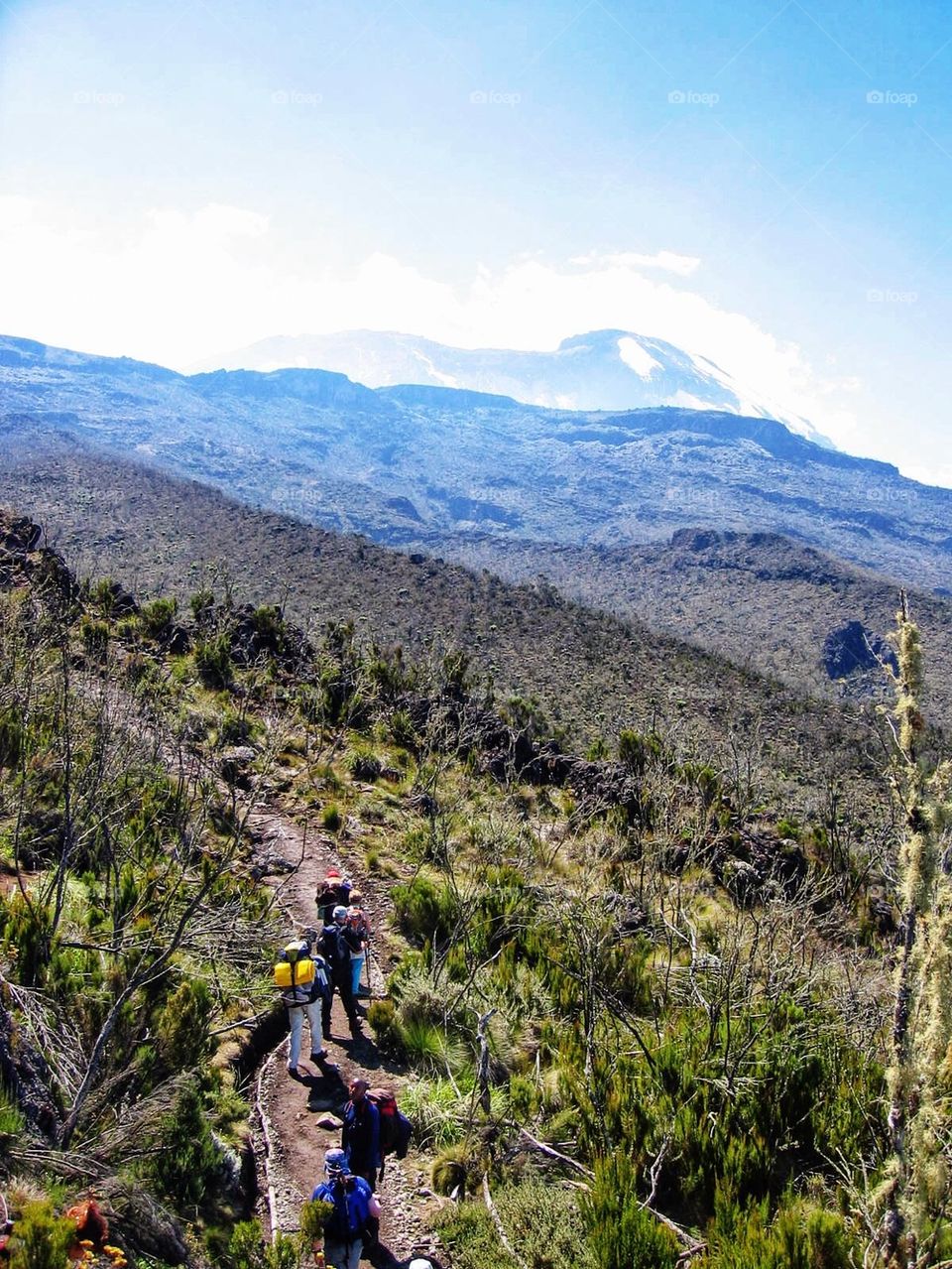 Hiking Kilimanjaro 