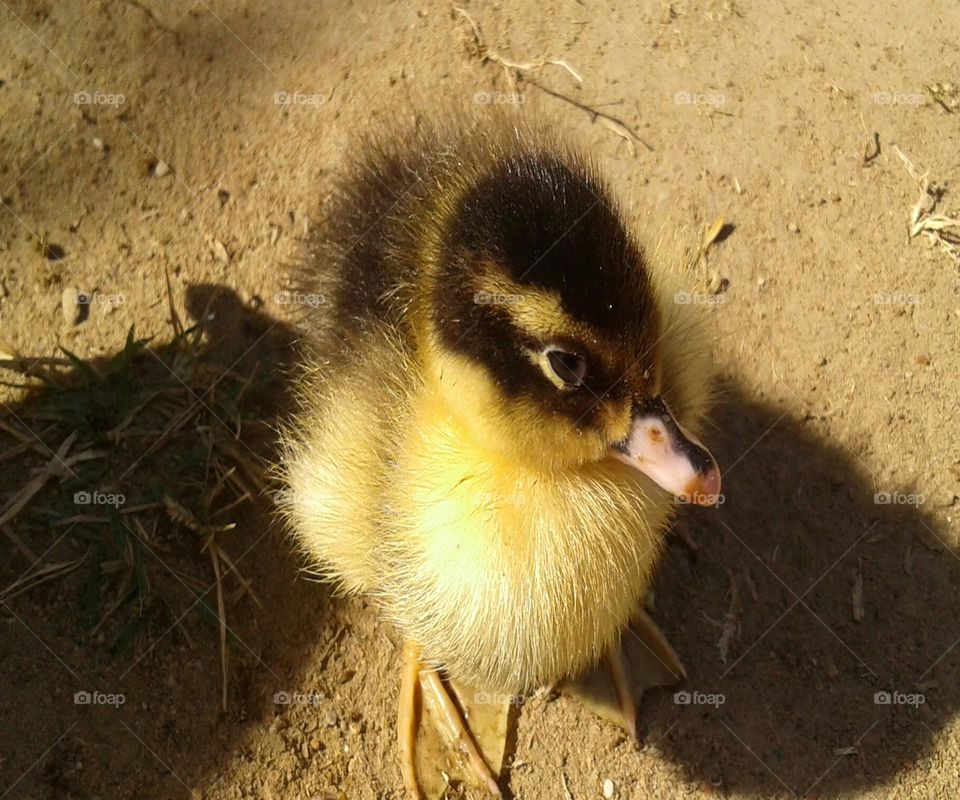 Where is my mom I am alone ! waiting for you mom