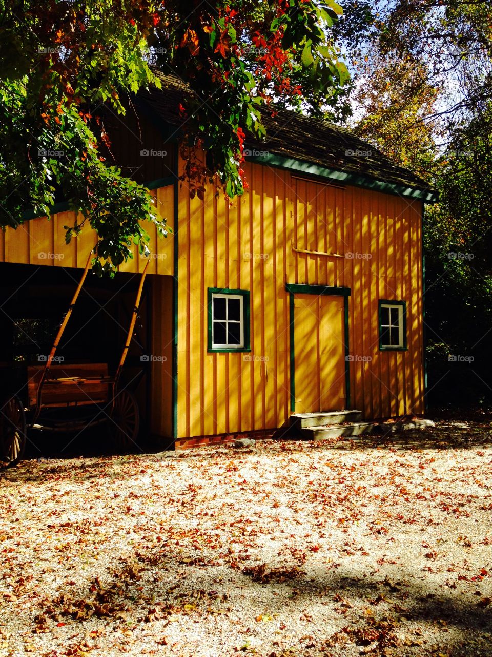 Autumn on the farm