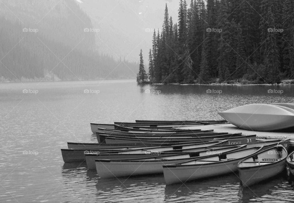 monochrome canoes