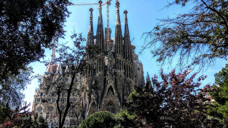 sagradafamilia