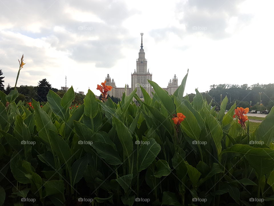 Spring in Moscow