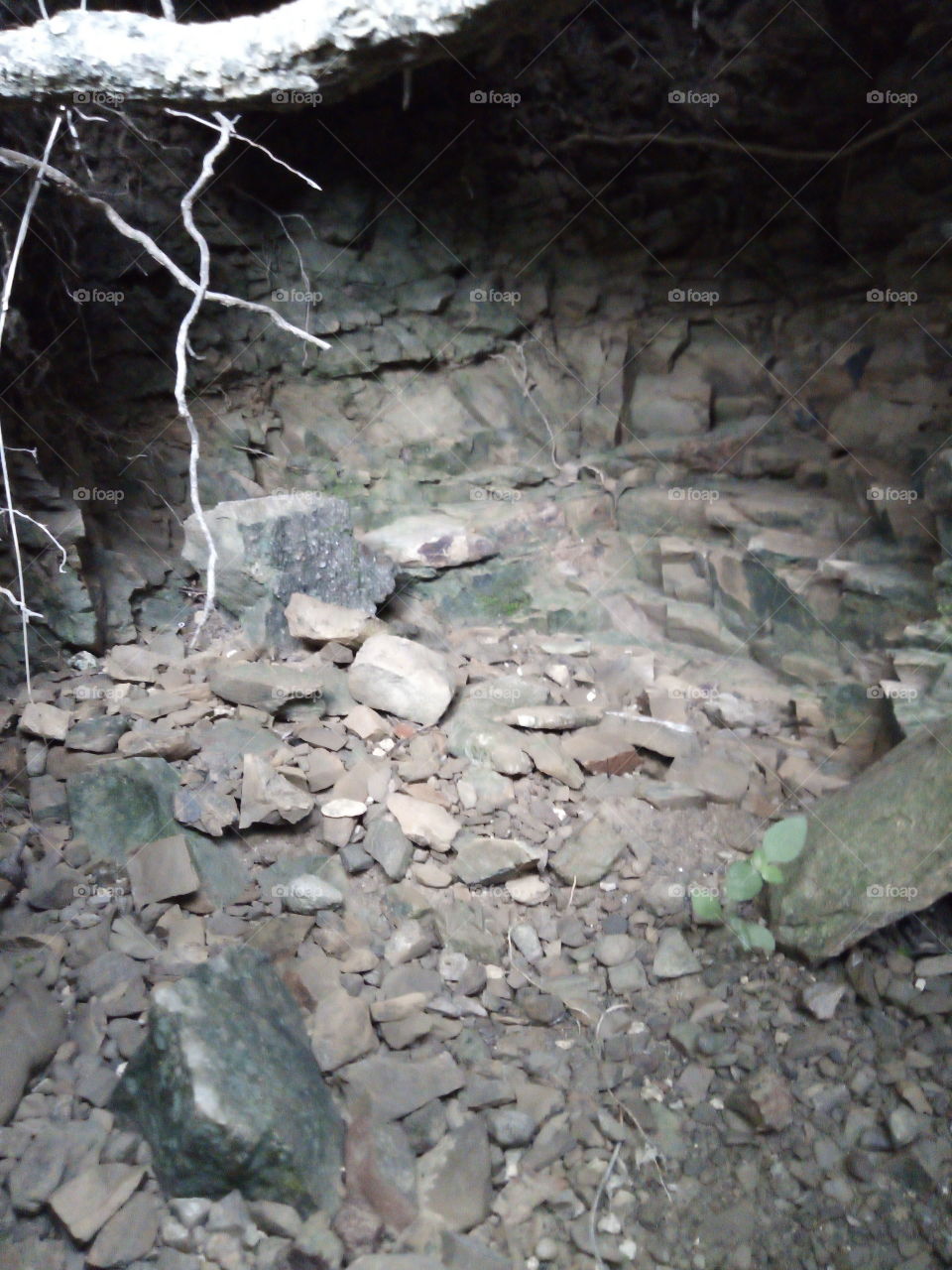 the nature of the field