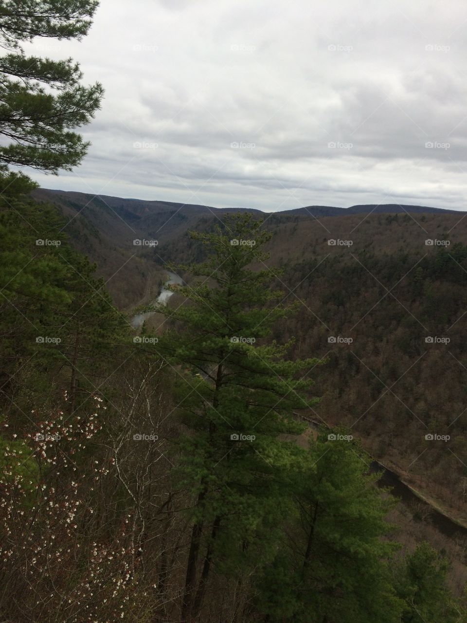 Pennsylvania gorge