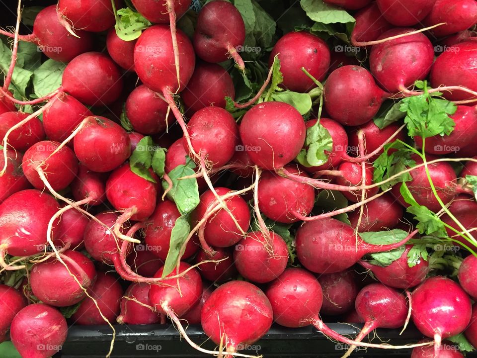 Close-up of radishes