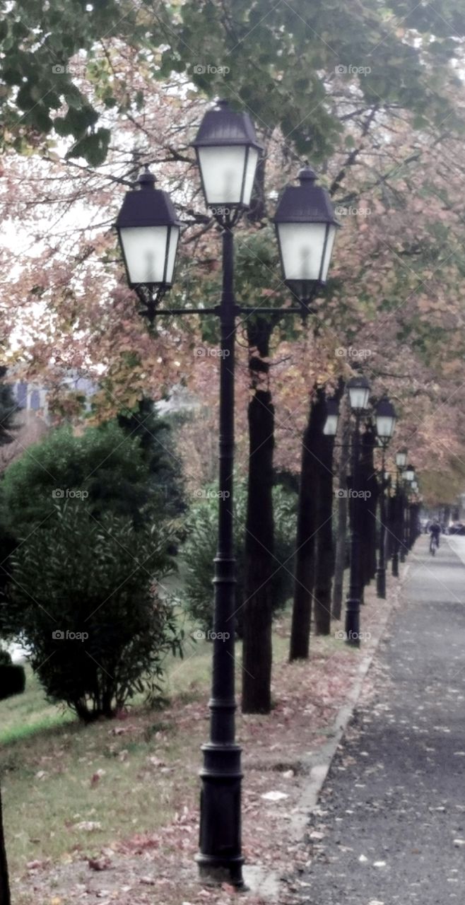 Street Lights in a Row