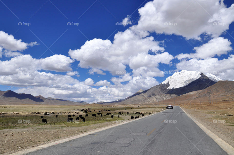 Tibetan road 