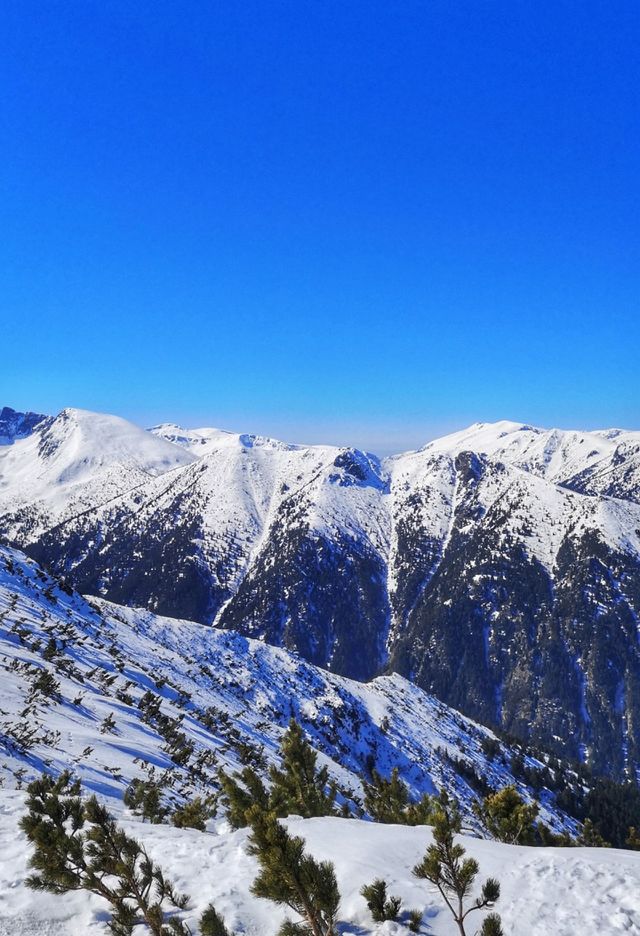 Sunny winter