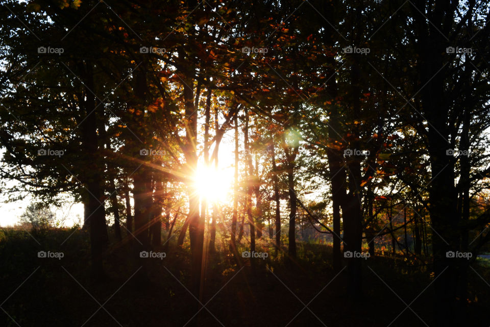 sunset over Raccoon State Park. this sunset at this very beautiful park called raccoon state park