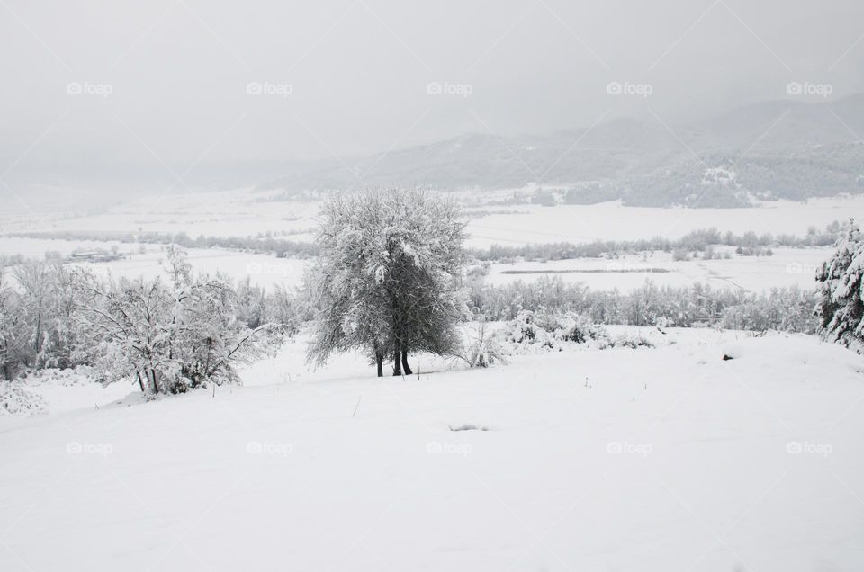 Beautiful Winter landscape