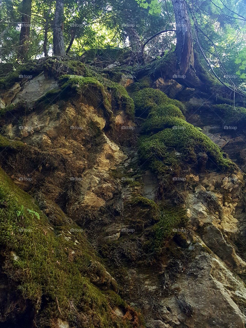 Climbing Up The Steps of Life ☯️
Perspective Is The Key To Happiness 💕