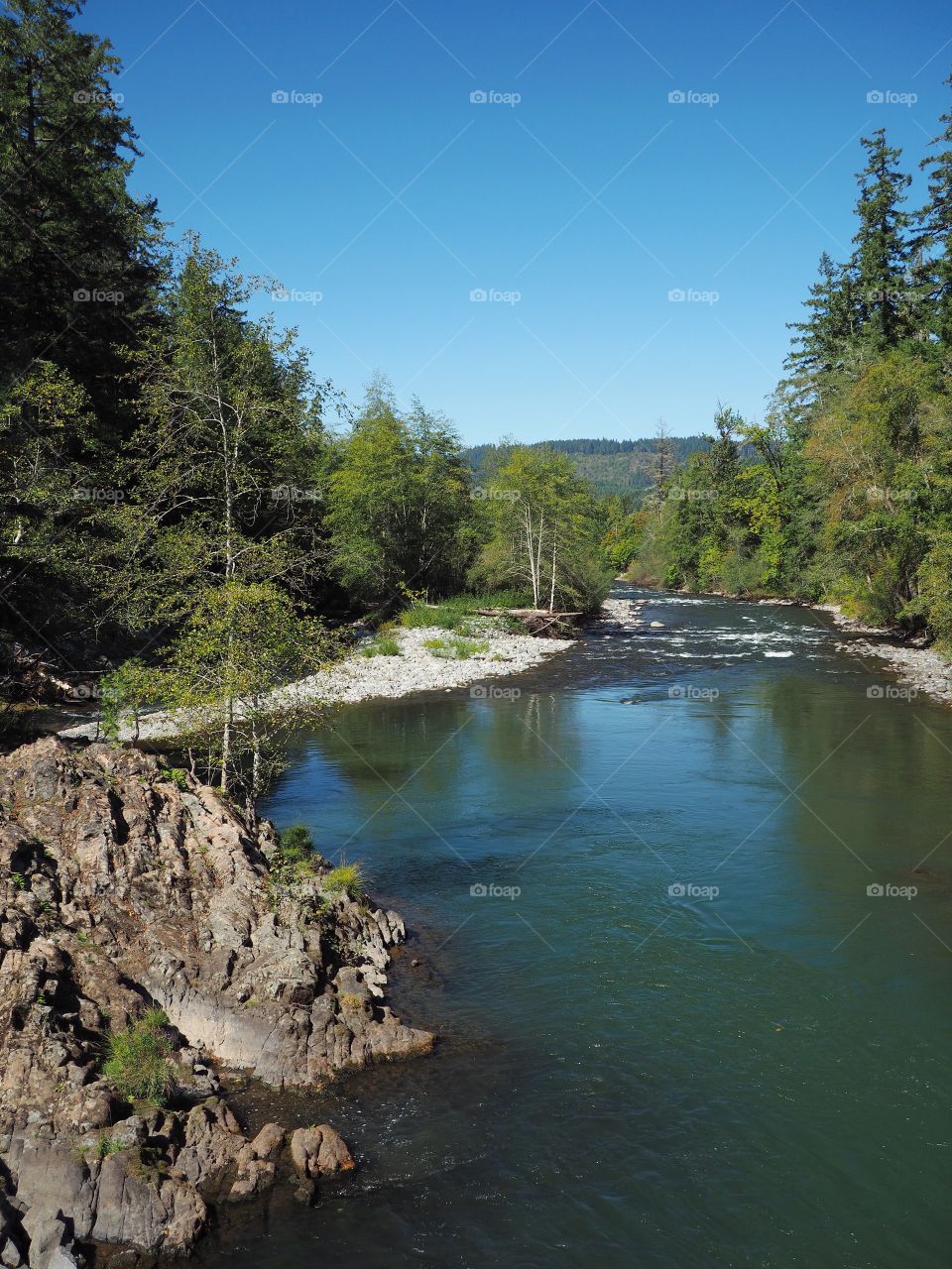 The rocky and rugged shores of the Middle Fork of the Willamette River near Oakridge Oregon filled with trees transitioning to their fall colors on a beautiful sunny day.