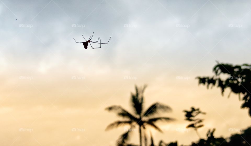 Weaving an invisible net in the sky