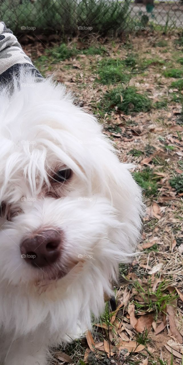 she is mad at me for taking her picture...poor thing